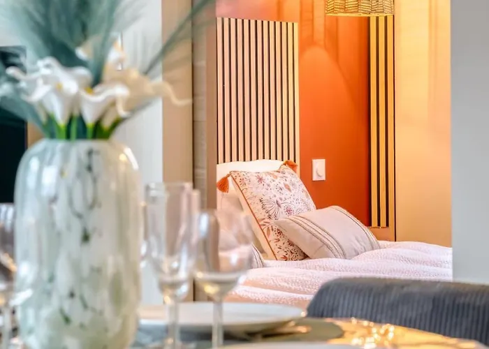 Terracotta Votre F2 Rénové Avec Ascenseur Proche Cathédrale Appartement